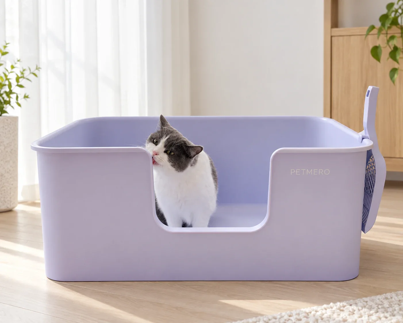 Cat beside a lilac high-sided litter tray in a home