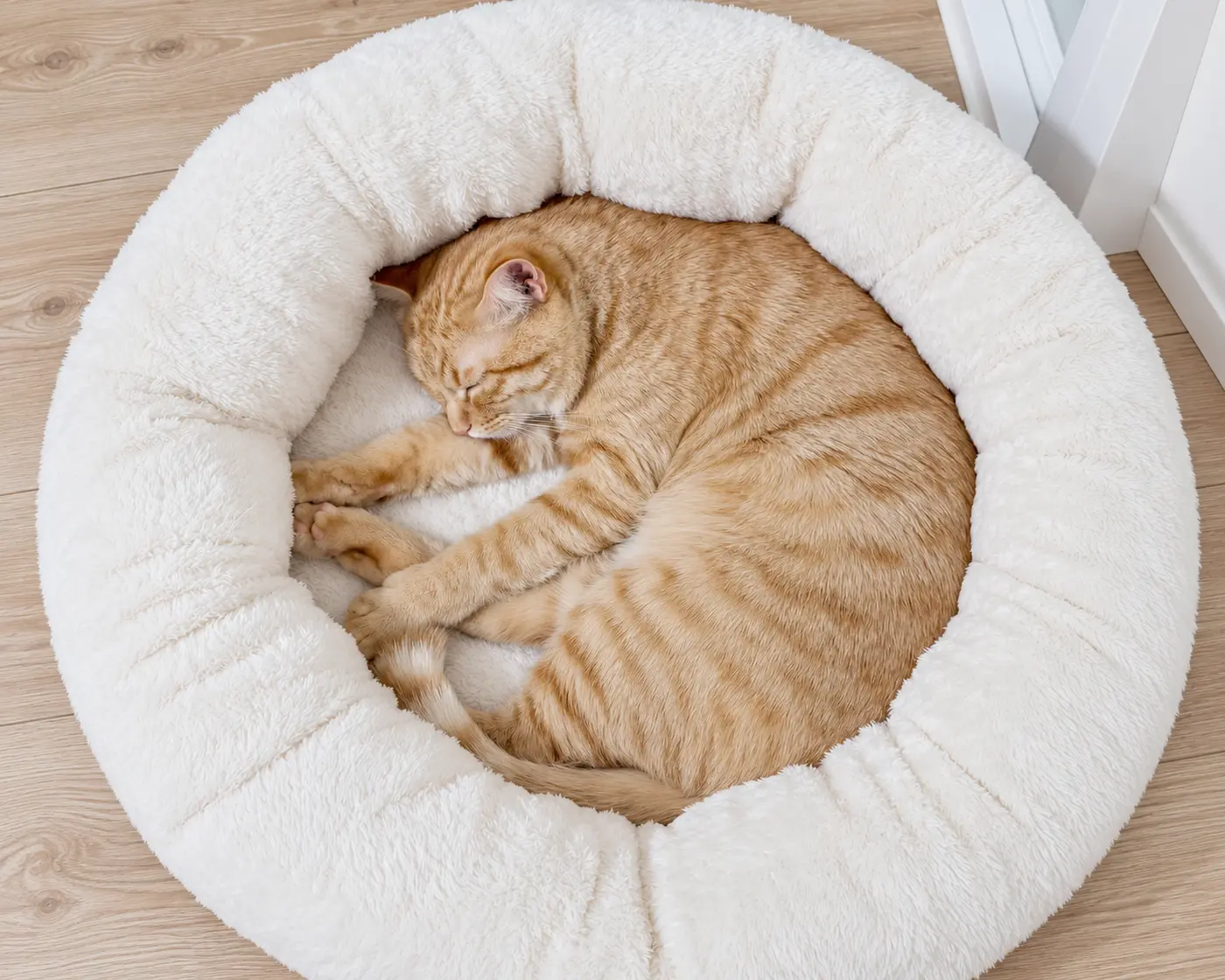 Ginger cat sleeping in a round white cat bed.