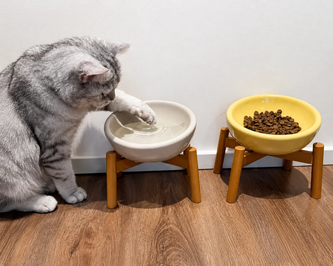 Grey cat beside two raised feeding bowls.