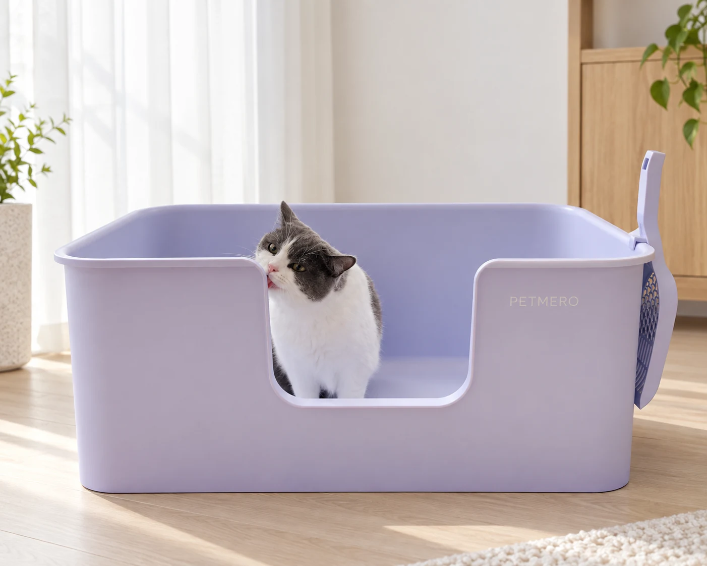 Grey and white cat in a lavender litter box with a matching scoop.