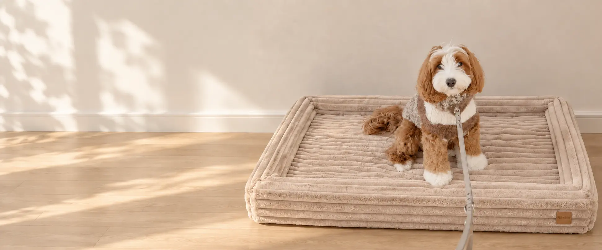 Small dog resting on a rectangular cushioned dog bed.