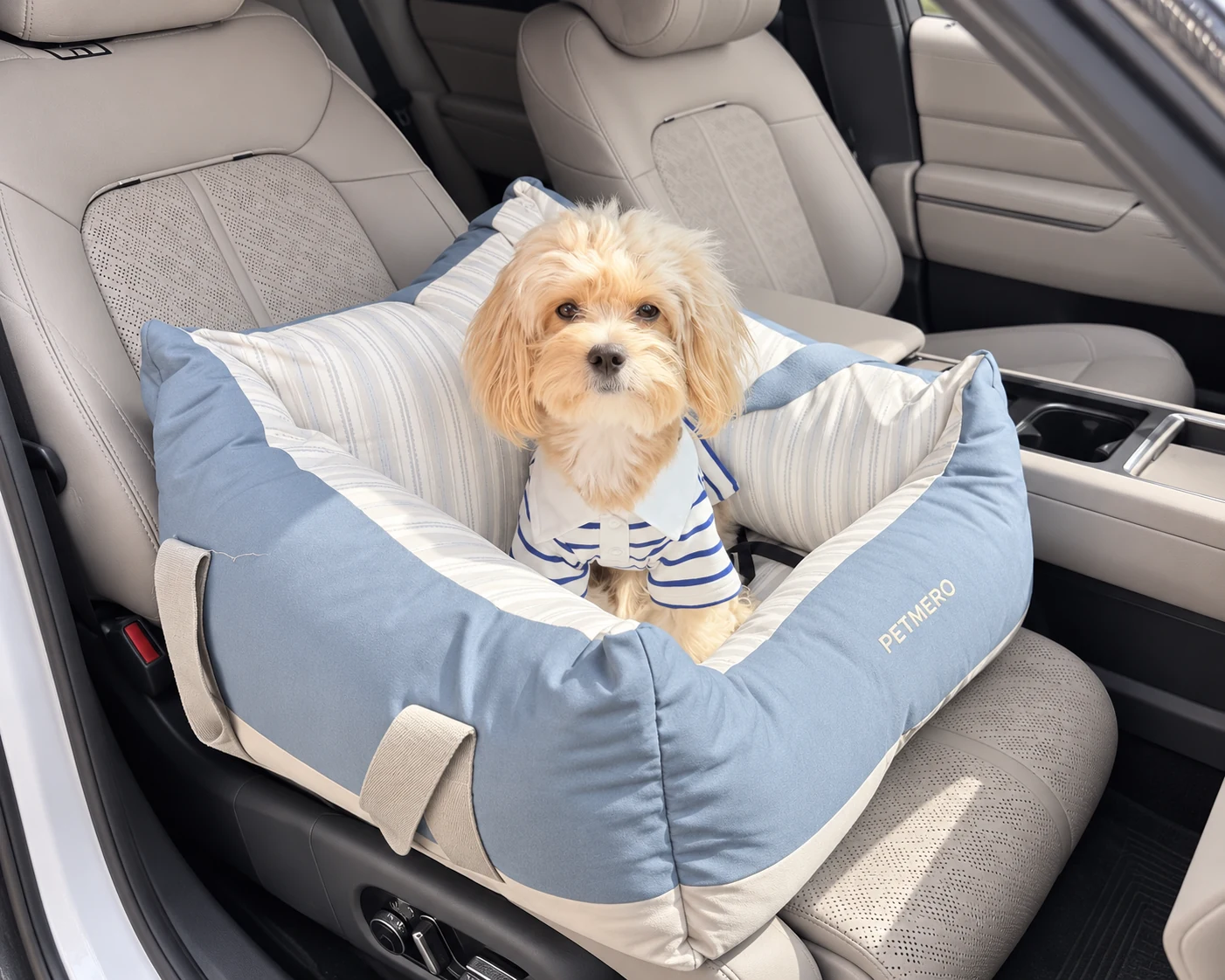 Small dog sitting in a padded car seat.