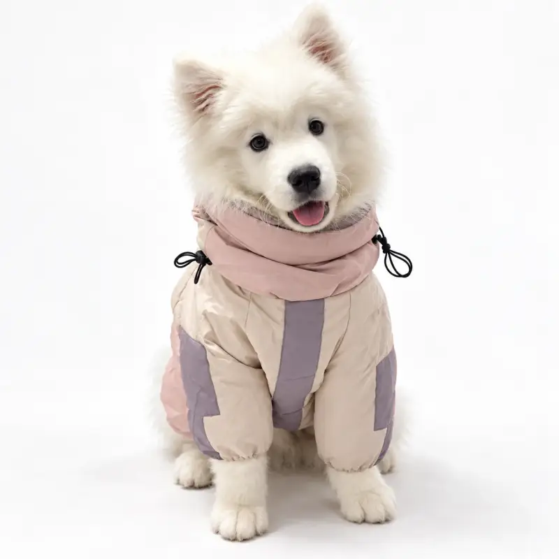 Dog wearing a beige and pink coat.