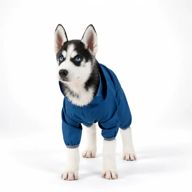 Dog wearing a blue hooded coat.