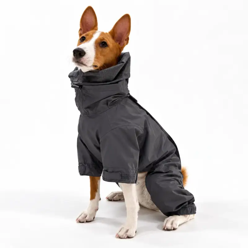 Dog wearing a charcoal high neck coat.