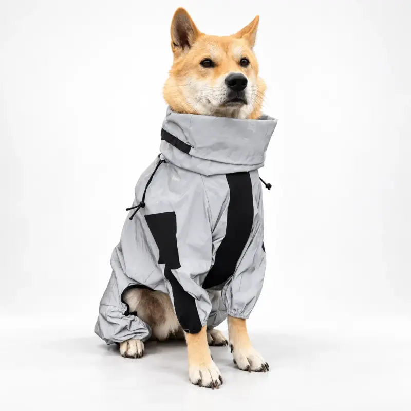 Dog wearing a light grey coat with black panels.