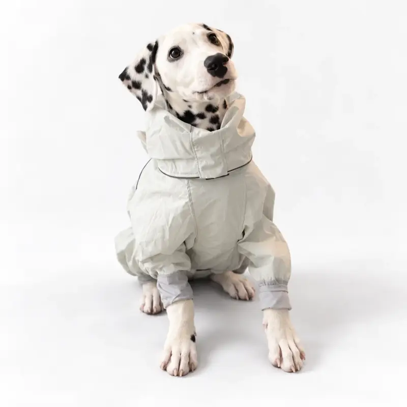Dog wearing a white high collar coat.