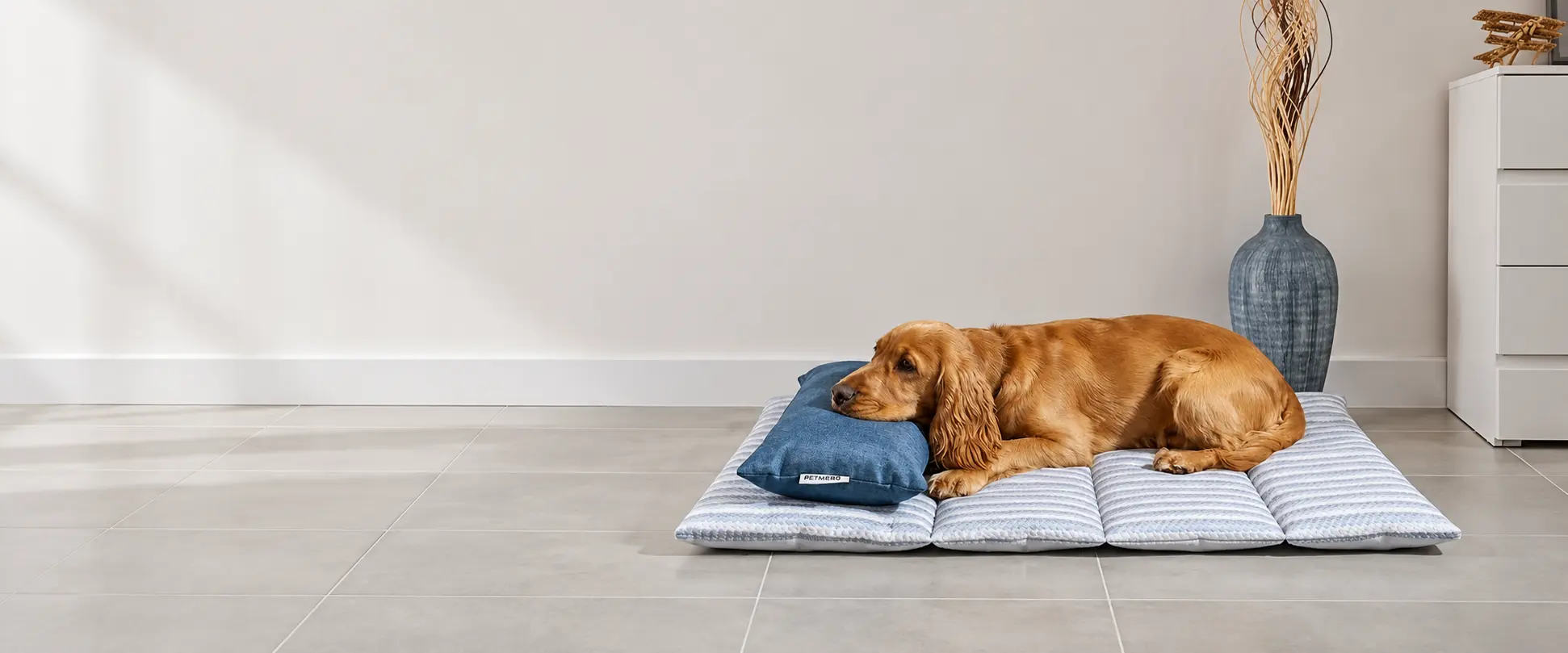 Dog sleeping on a layered pet mat with a blue cushion.