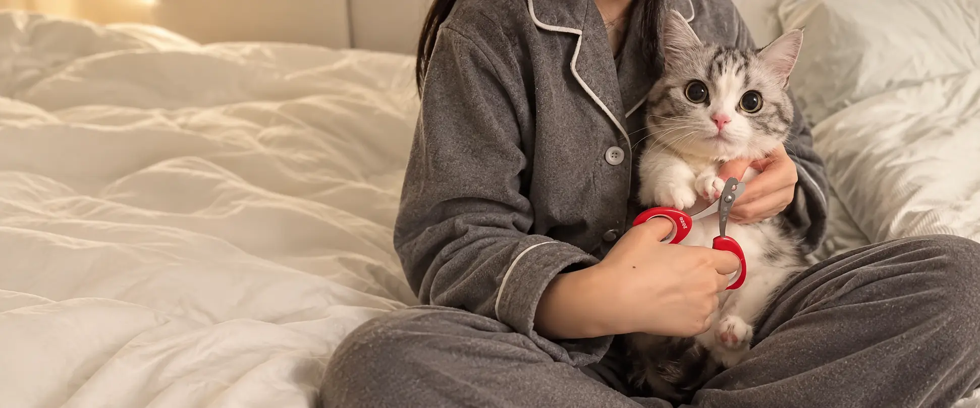 Cat having its claws trimmed with pet nail clippers.