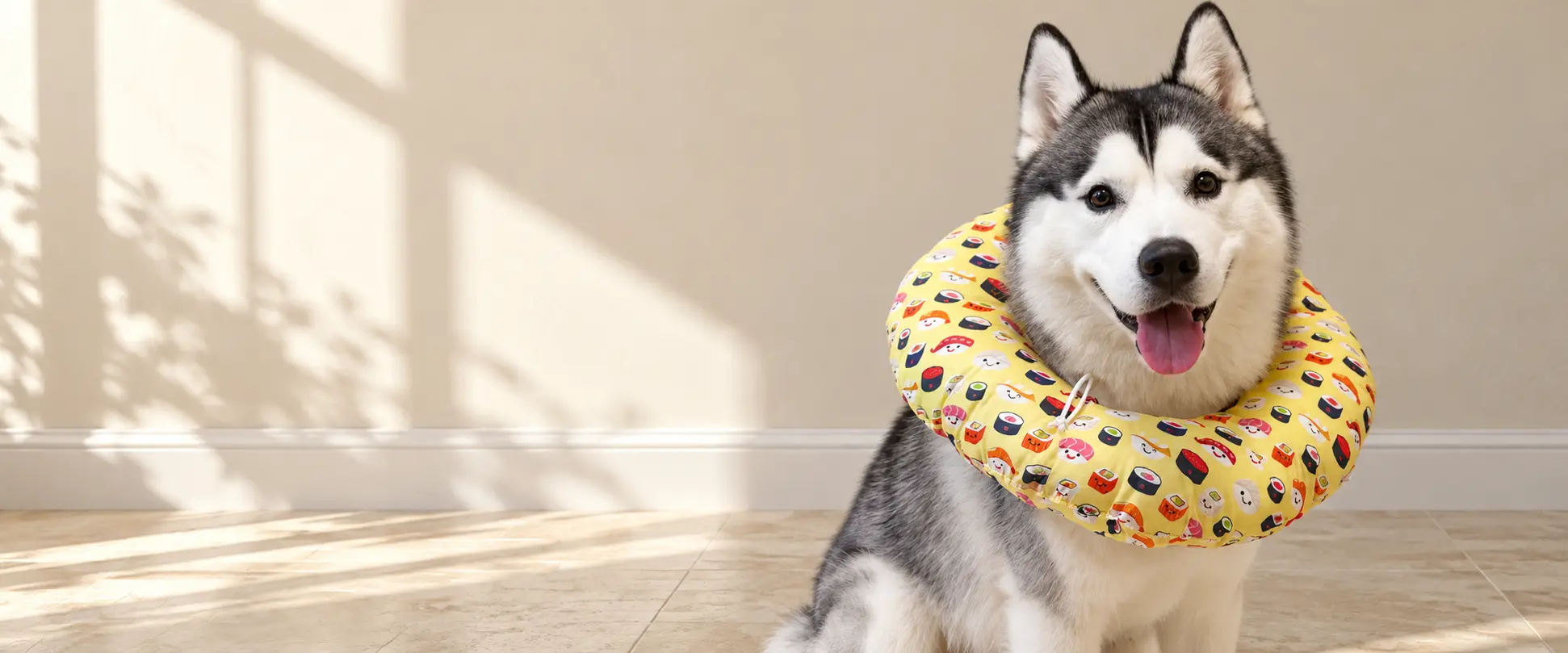 Dog wearing a soft Elizabethan recovery collar.