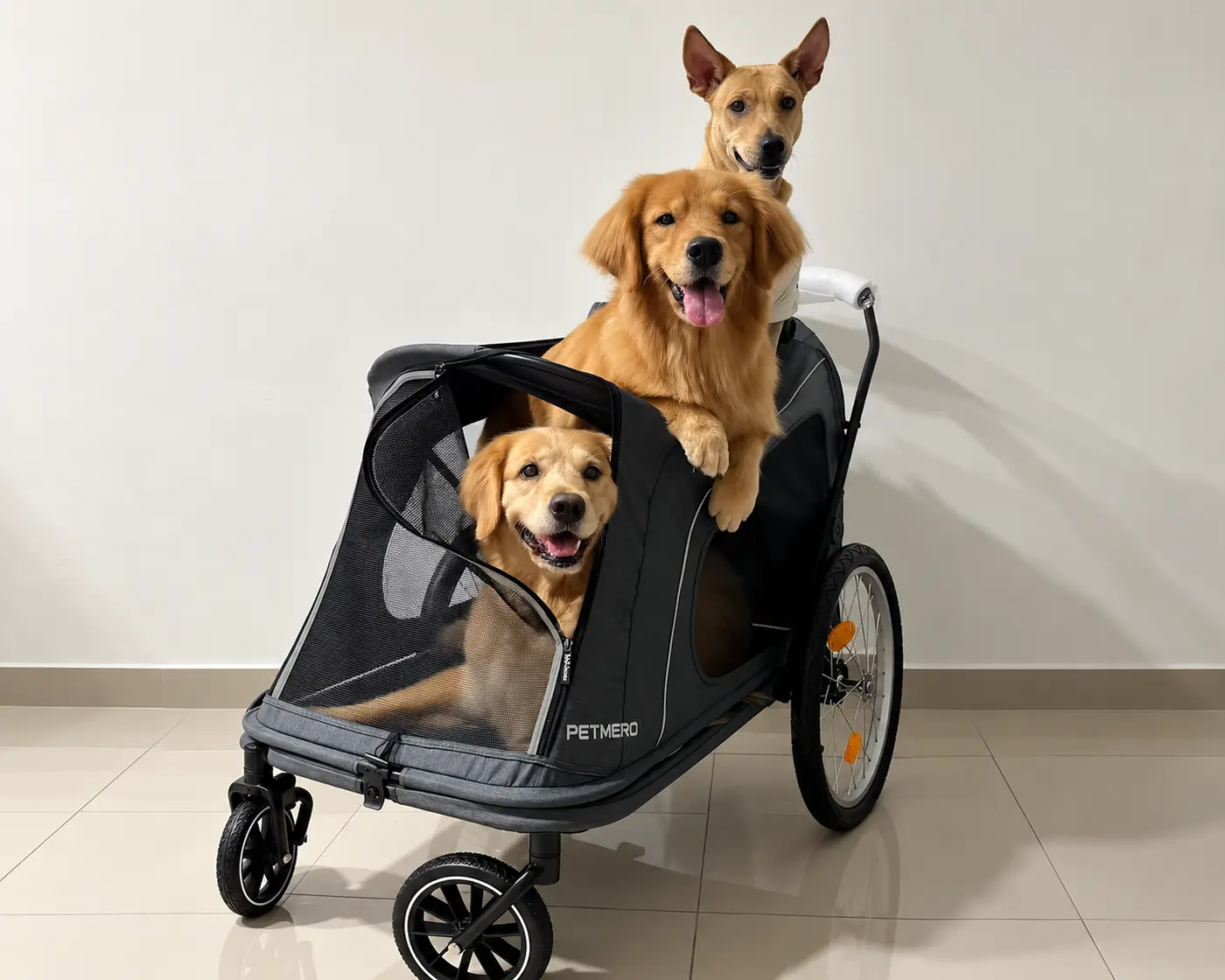 Three dogs riding in a foldable pet stroller.